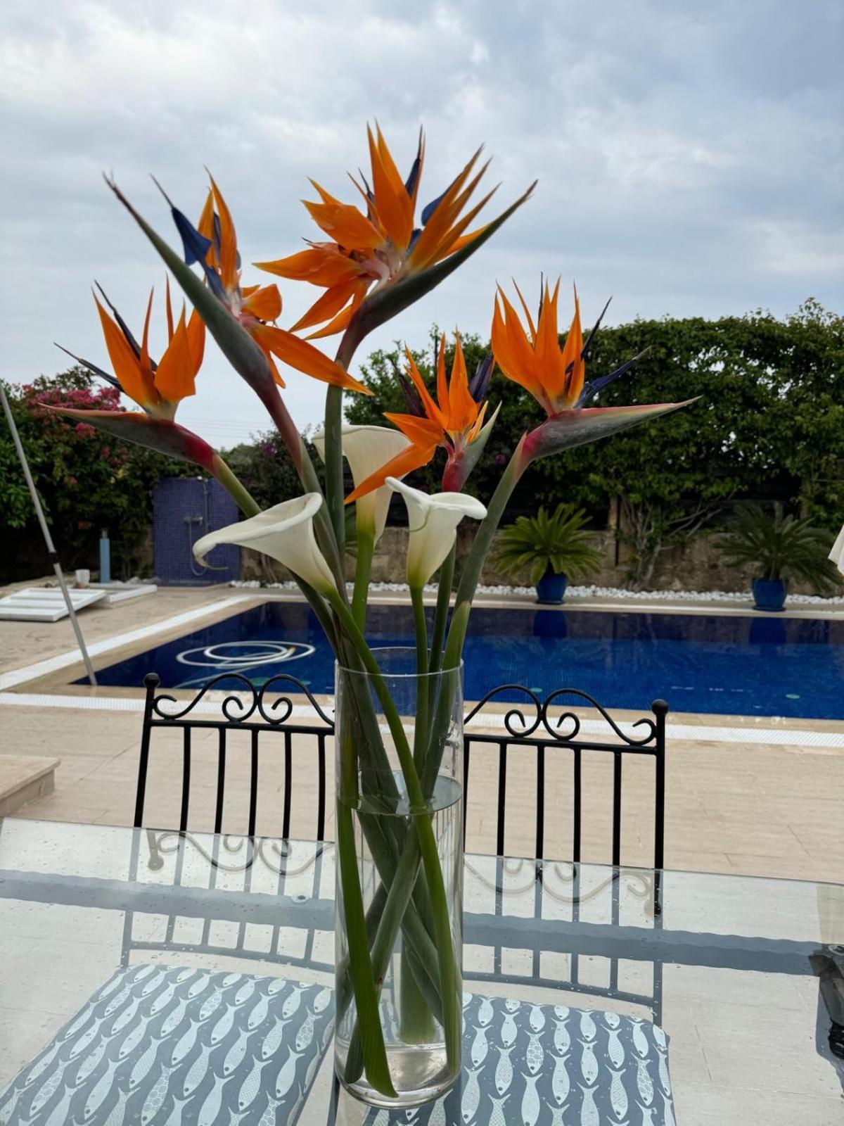 Casa Santos Kyrenia Villa Kyrenia  Exterior foto